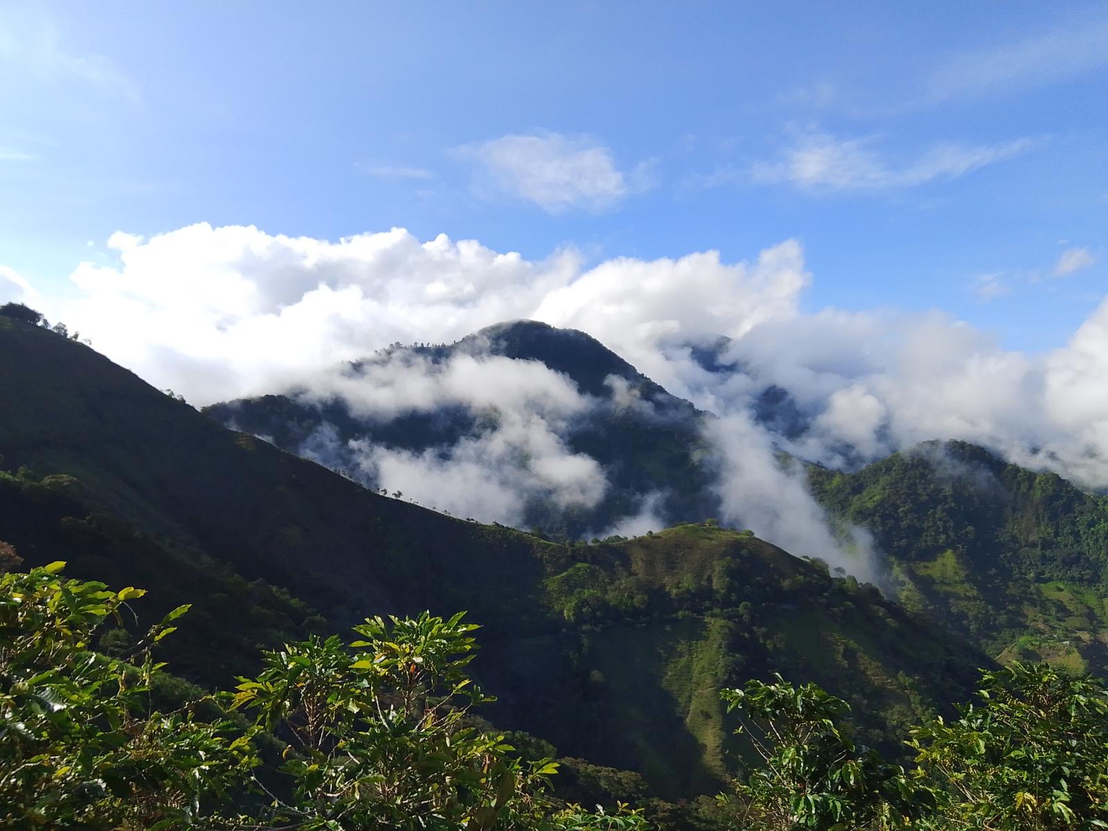 Alto de Las Coles