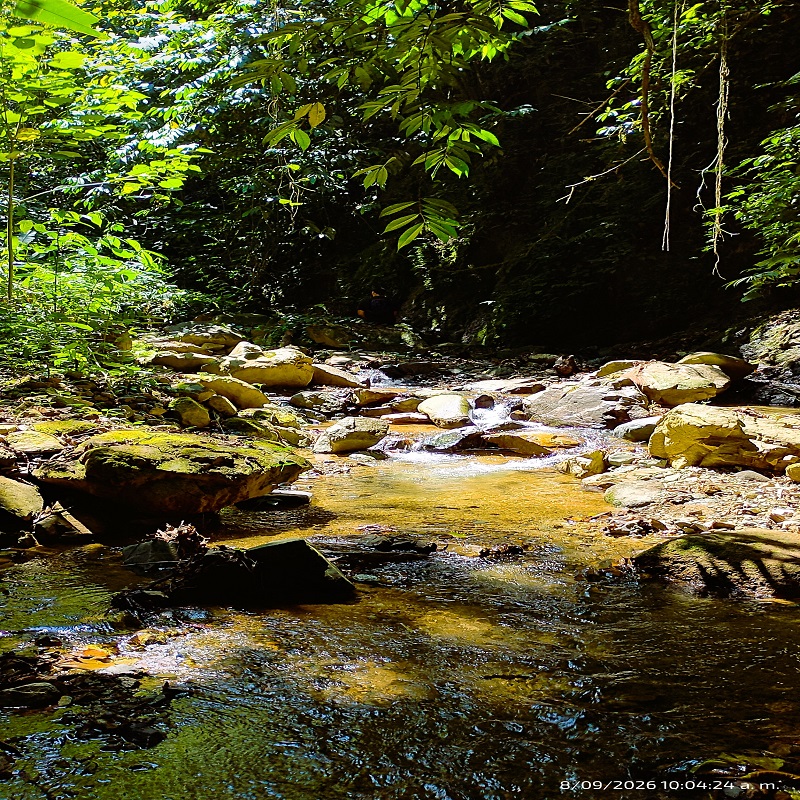 Sendero ecológico que conduce a la Cascada La Esmeralda