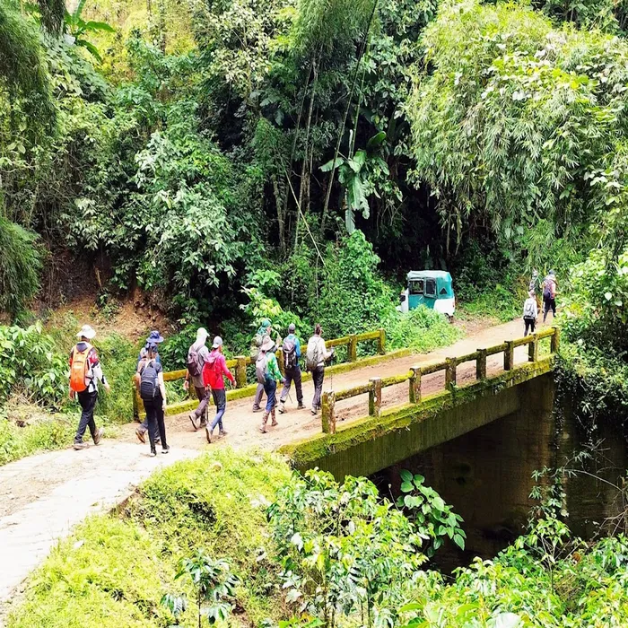 Cascada y poza