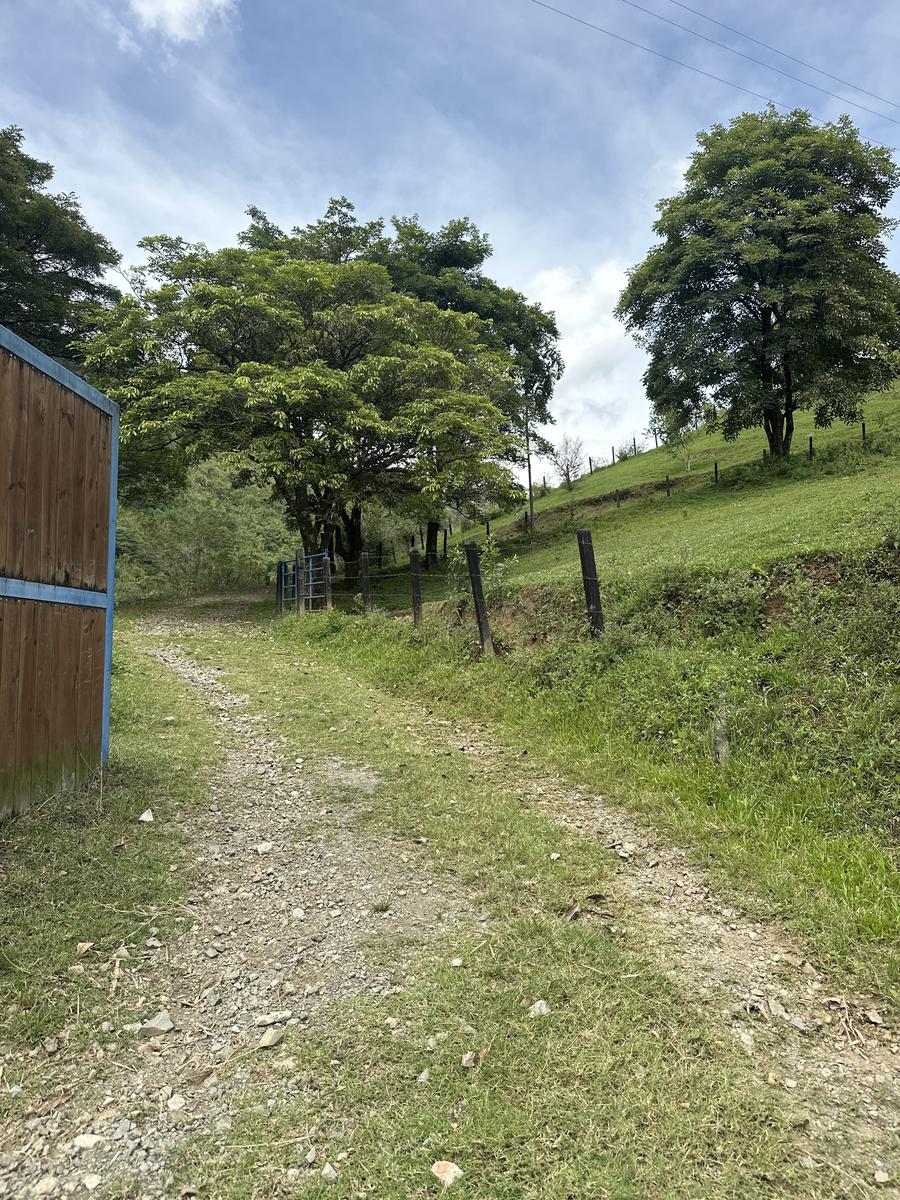 Ruta Cerritos Foto 2