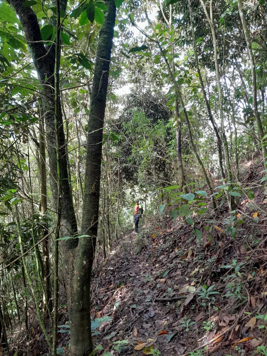 Ruta Esmeralda Foto 2