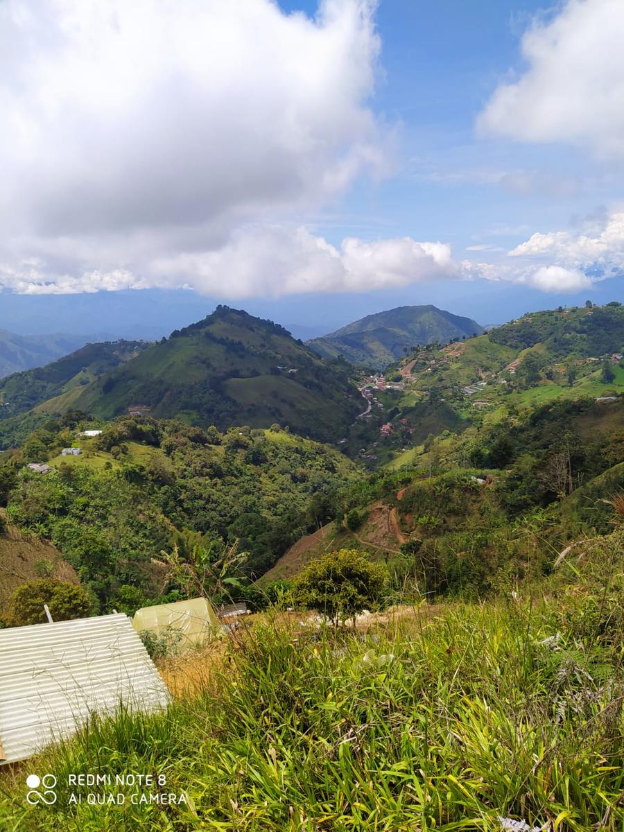 Ruta Brasil Foto 2