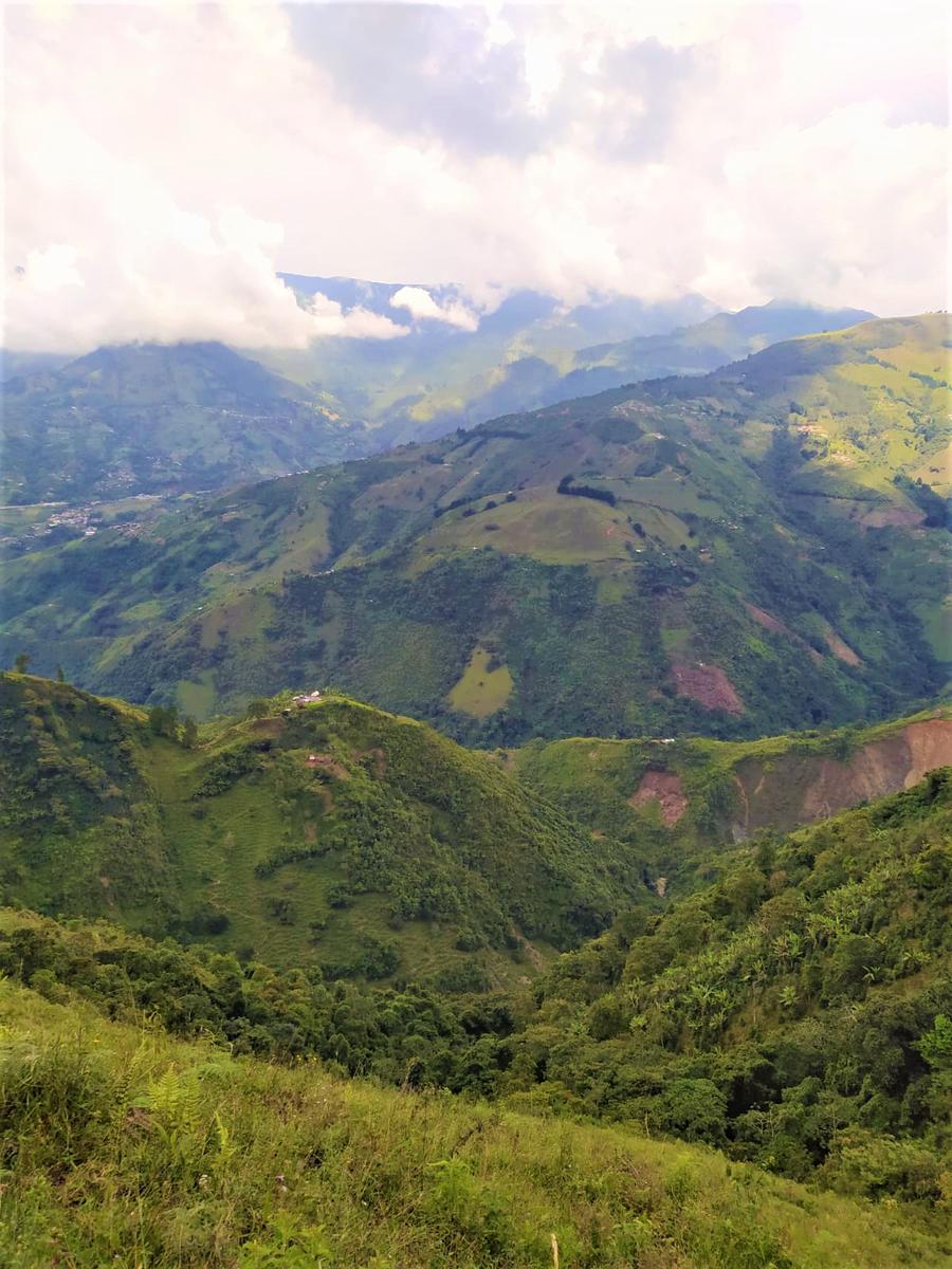 Ruta Brasil Foto 3
