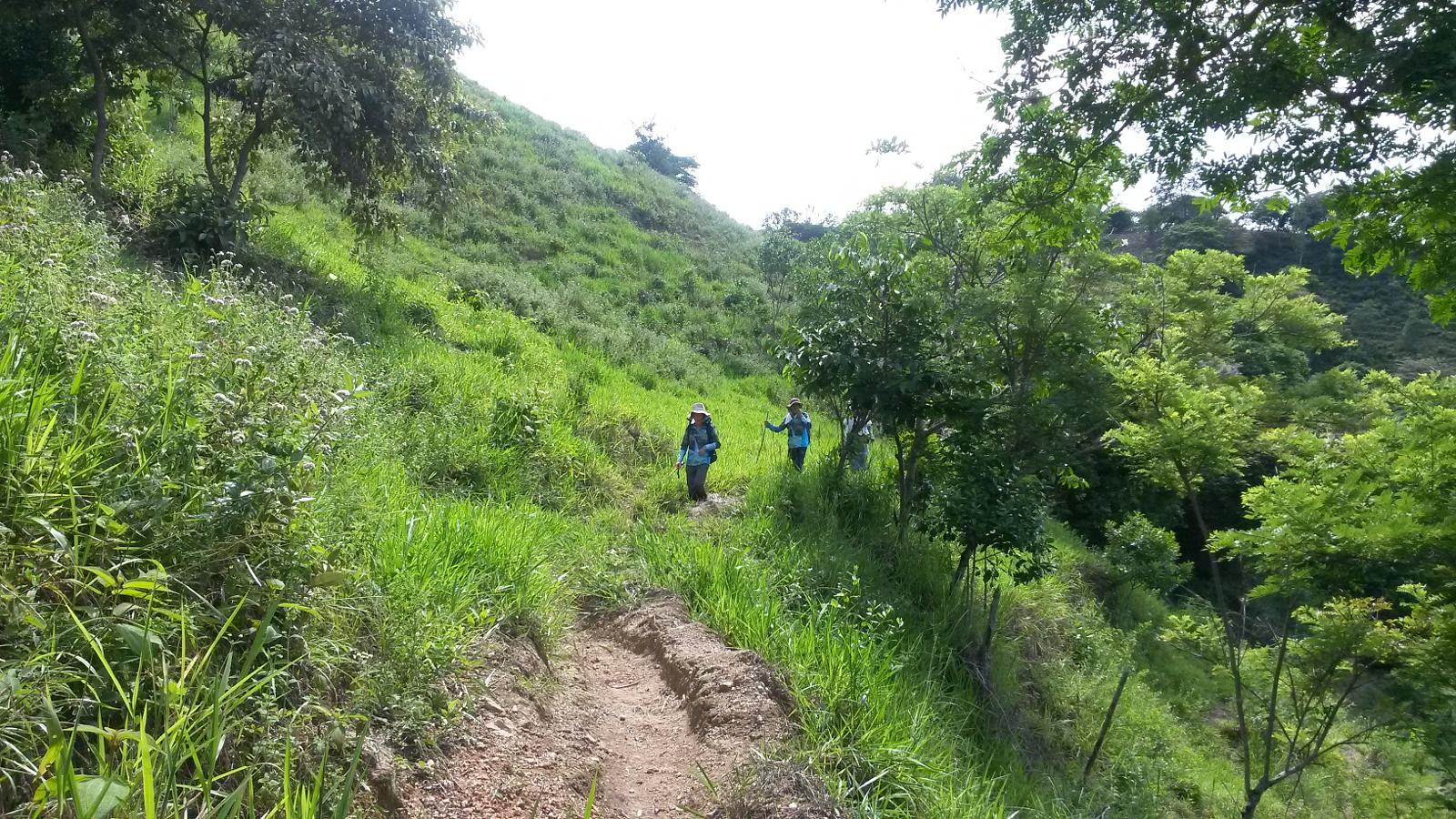 Ruta Guayabal Foto 3